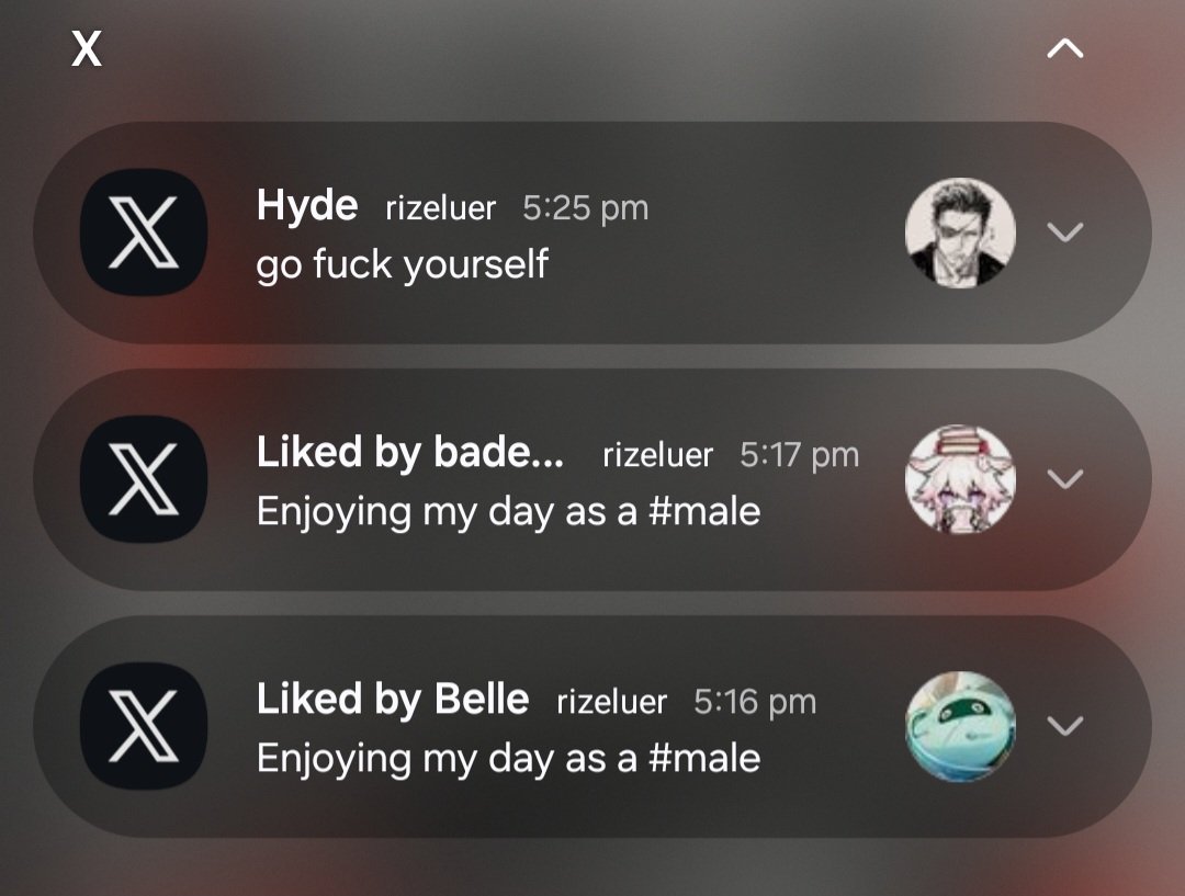 Riz tweet media