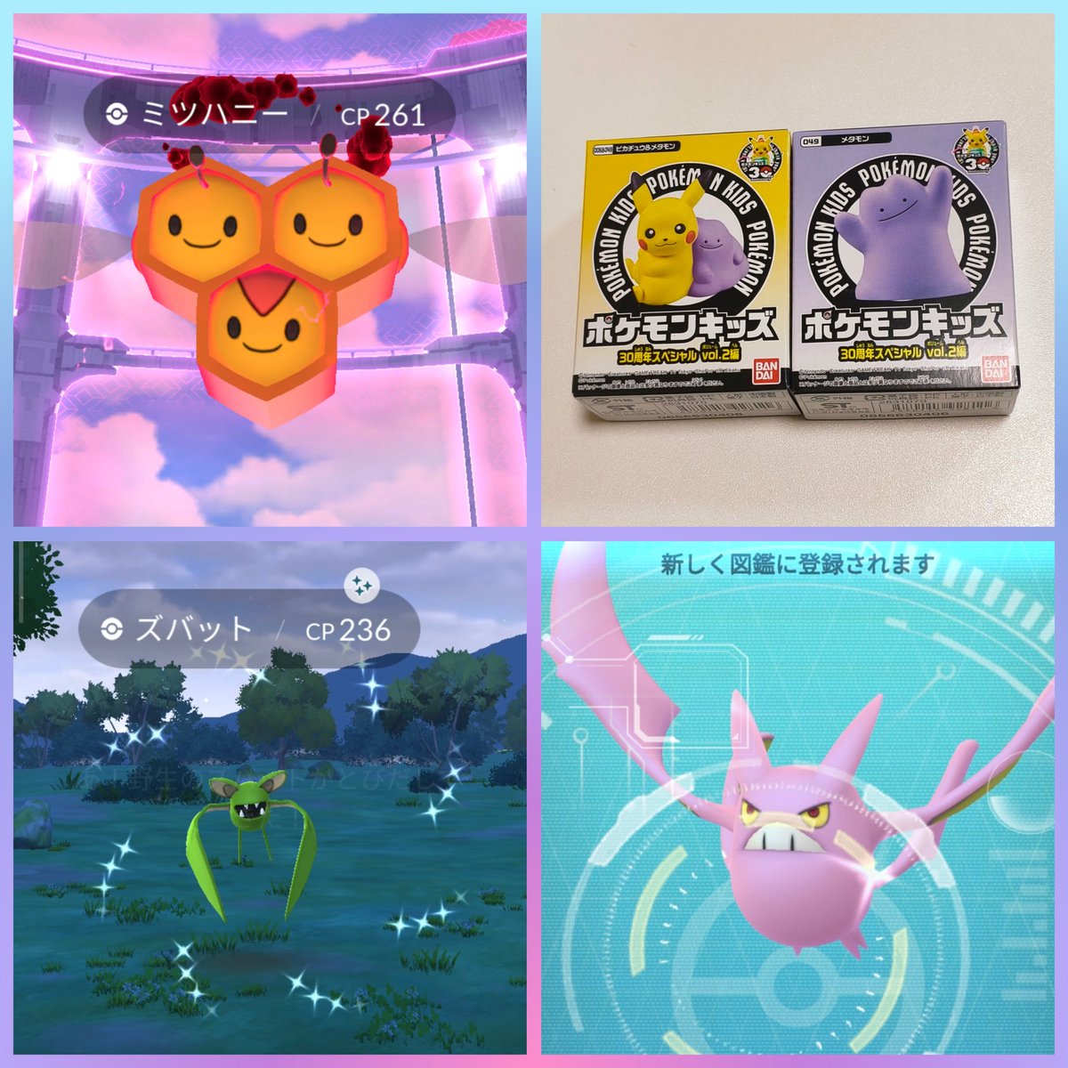 さーや🐦®ポケモンGO tweet media