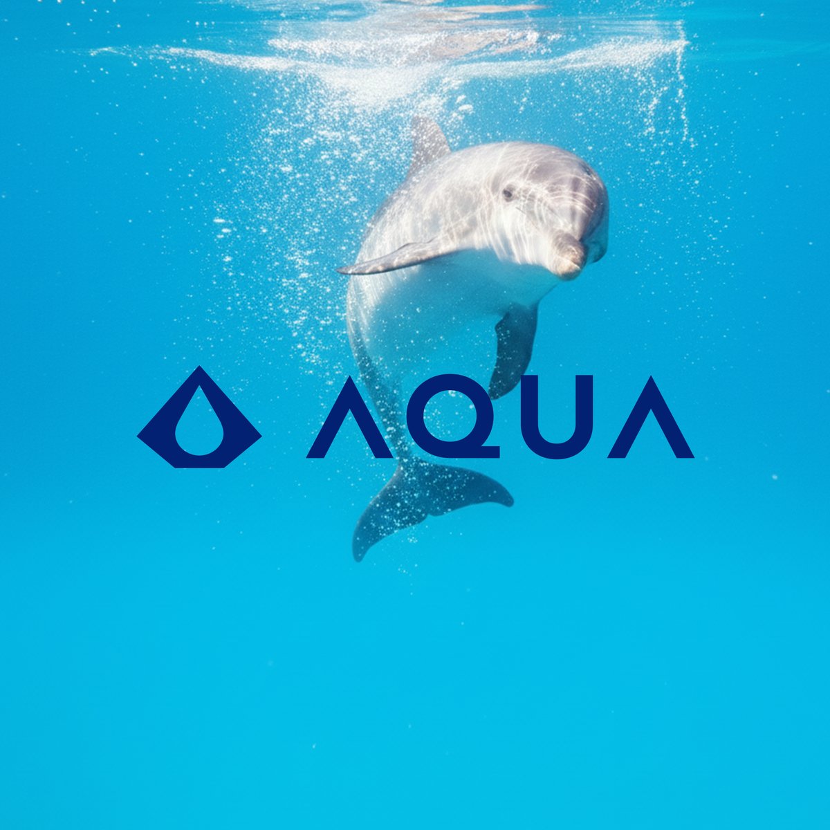 AQUA Wallet tweet media