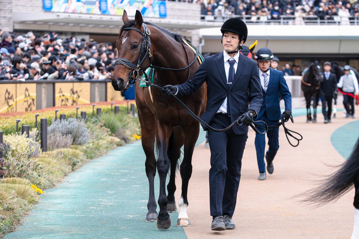 BloomyPink_'s tweet photo. 2026.02.10
東京11R 東京新聞杯(GⅢ) (芝1600m)
𓂃 𓈒𓏸 #シリウスコルト 
　
思い切ったマイル転向とトラックバイアスのおかげもあって掲示板内に入れた1戦。
色々惜しいところもありましたが、よく頑張ってました。

#田中勝春厩舎 
#三浦皇成騎手 
#マクフィ産駒 
#飯田正剛オーナー 
#千代田牧場 https://t.co/62URRcMGrm
