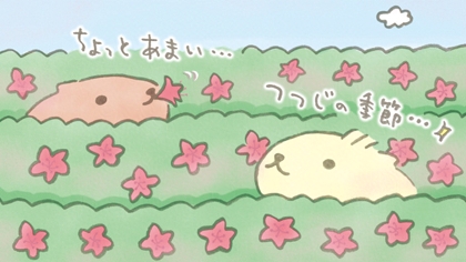 カピバラさん【公式】 tweet media