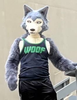 Moose (Differmitt) 🔜 FWA???? tweet media