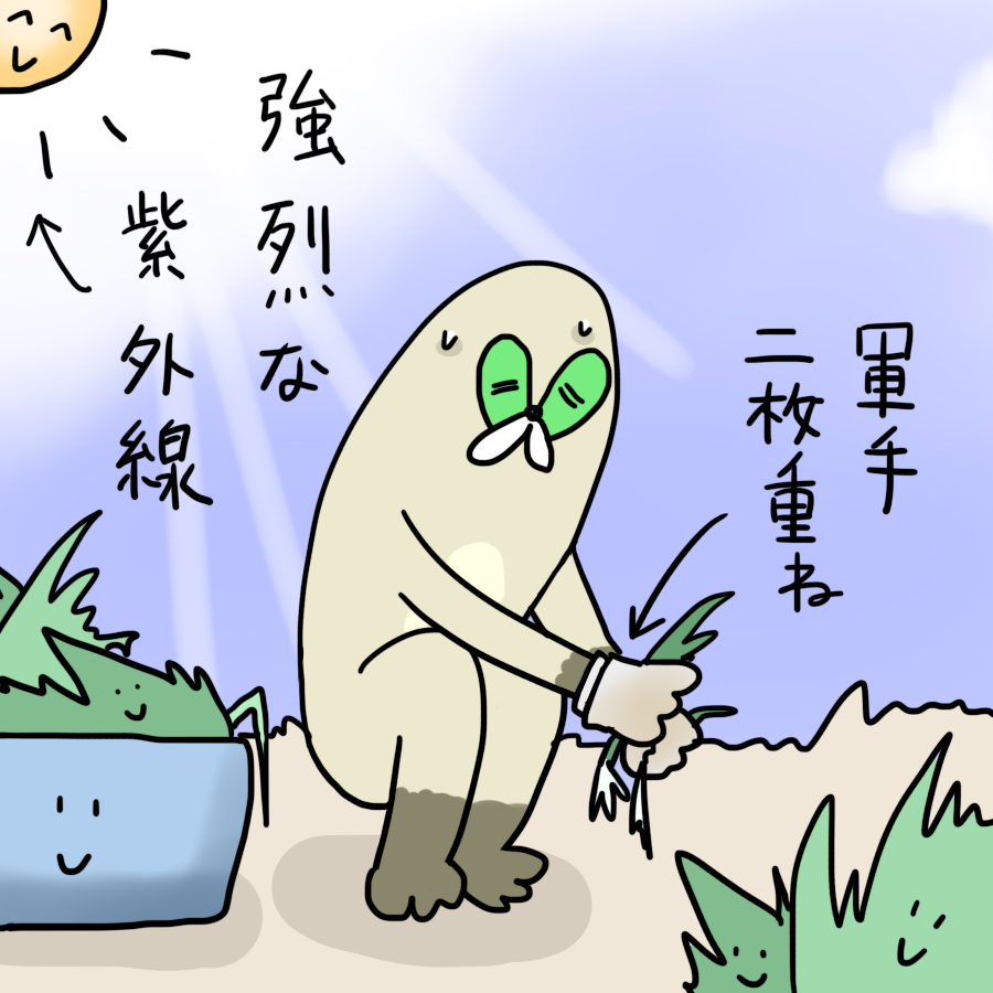 ジャミキチ tweet media