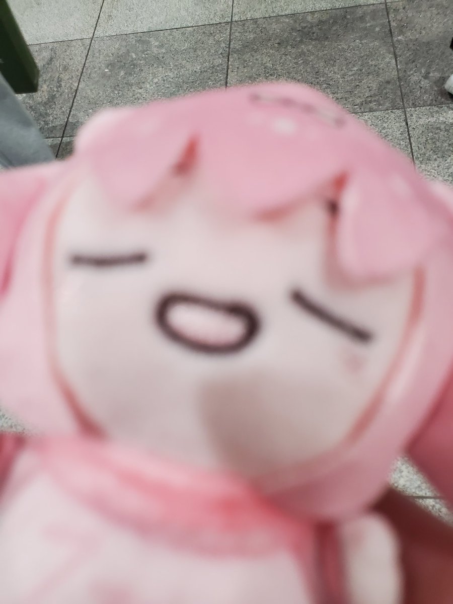 hitoumi_viola's tweet photo. @harumaki_gohan おやすみメルティさんゲットしました！
今はｳｰﾊﾟｰの上で寝てます！ https://t.co/e0UQvTWs8b
