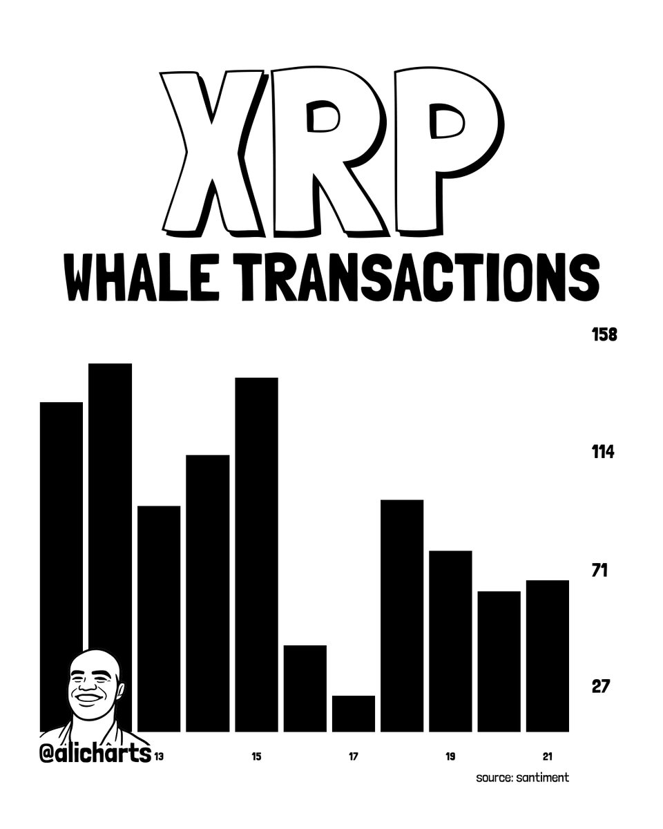 TheCryptoBasic tweet media