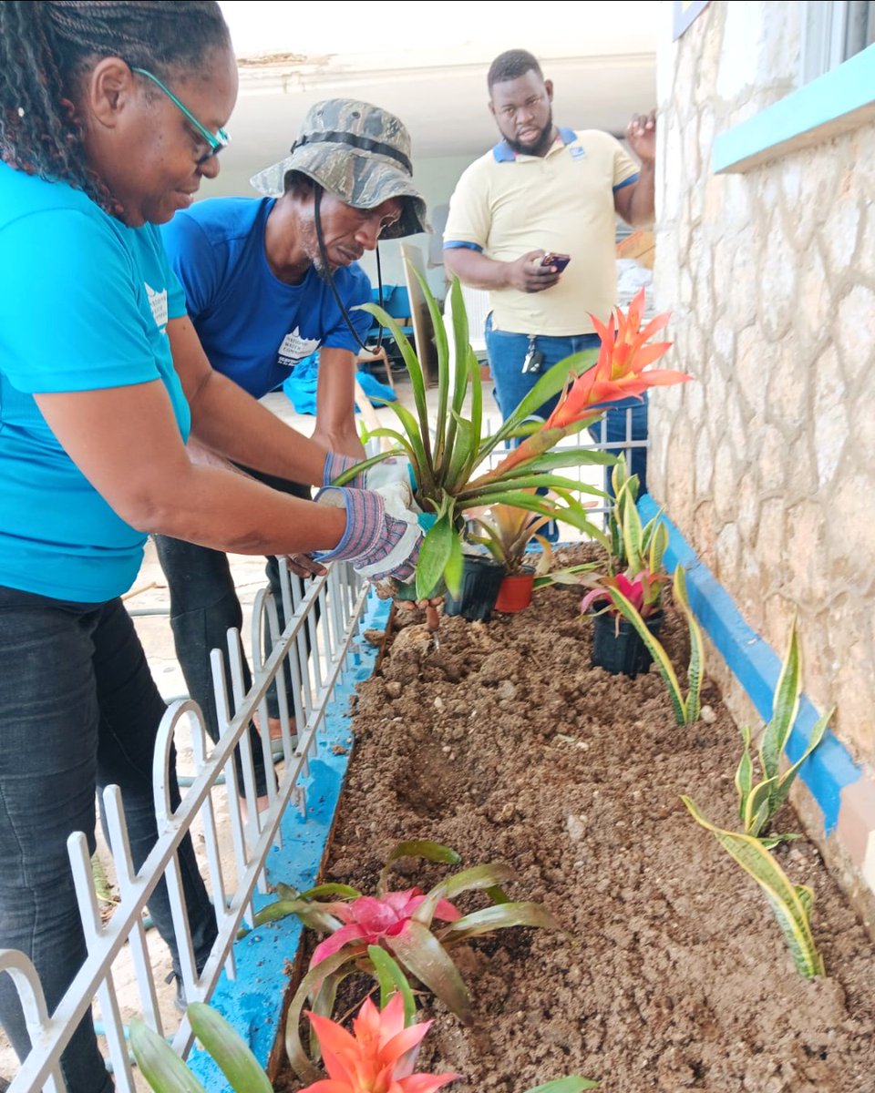 NWC Jamaica tweet media