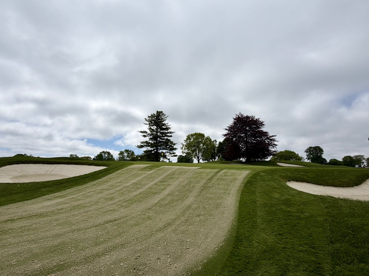 LHCC Grounds tweet media
