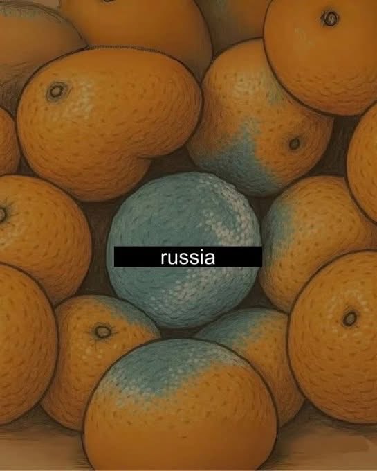 ErikJonSloth's tweet photo. @manlyopinions1 @ZelenskyyUa https://t.co/XD3DQSNcb6