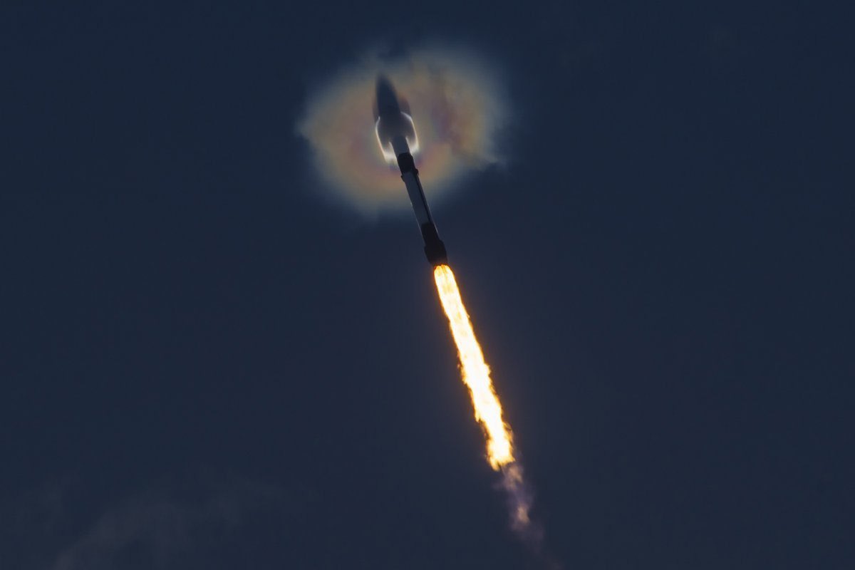 RocketmanElon tweet media