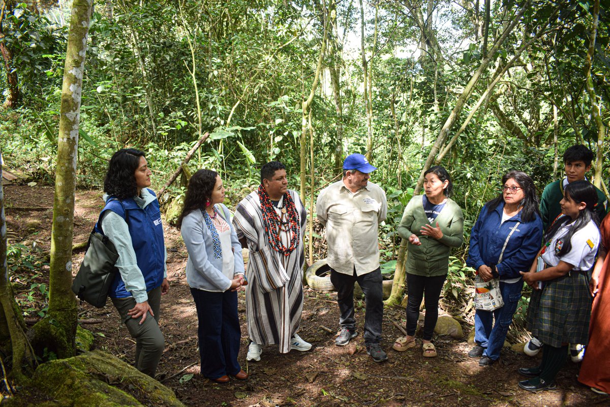 UNESCO Perú tweet media