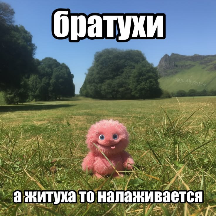 дэруня tweet media