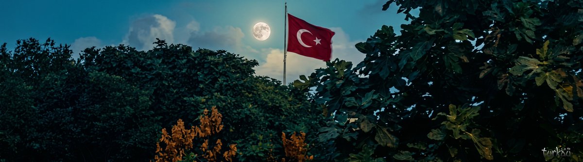Türk tweet media