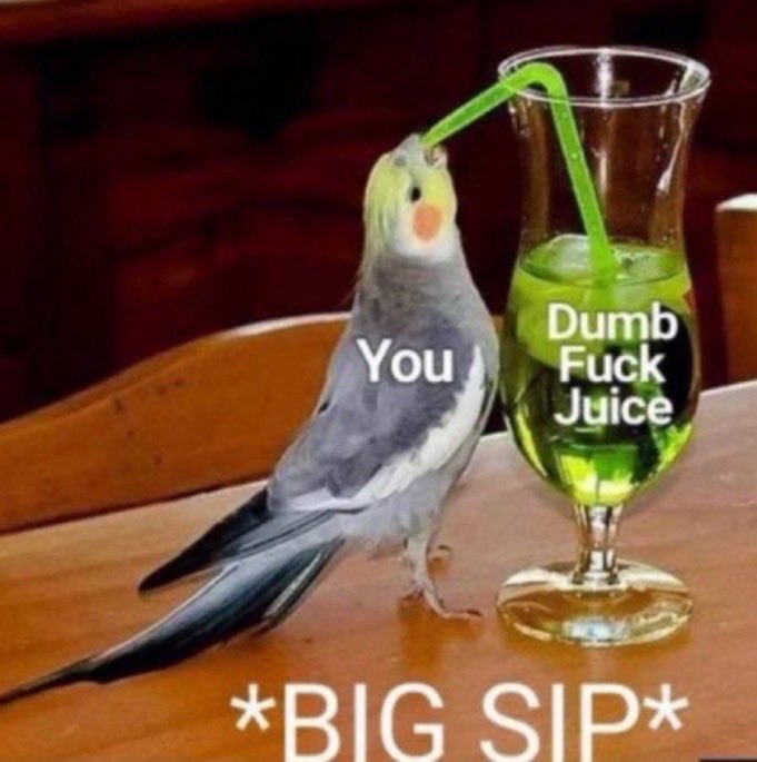 Squeaky Bob tweet media
