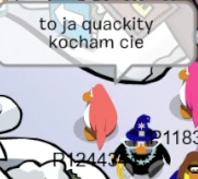 ellie ๐ป is naukosick tweet media