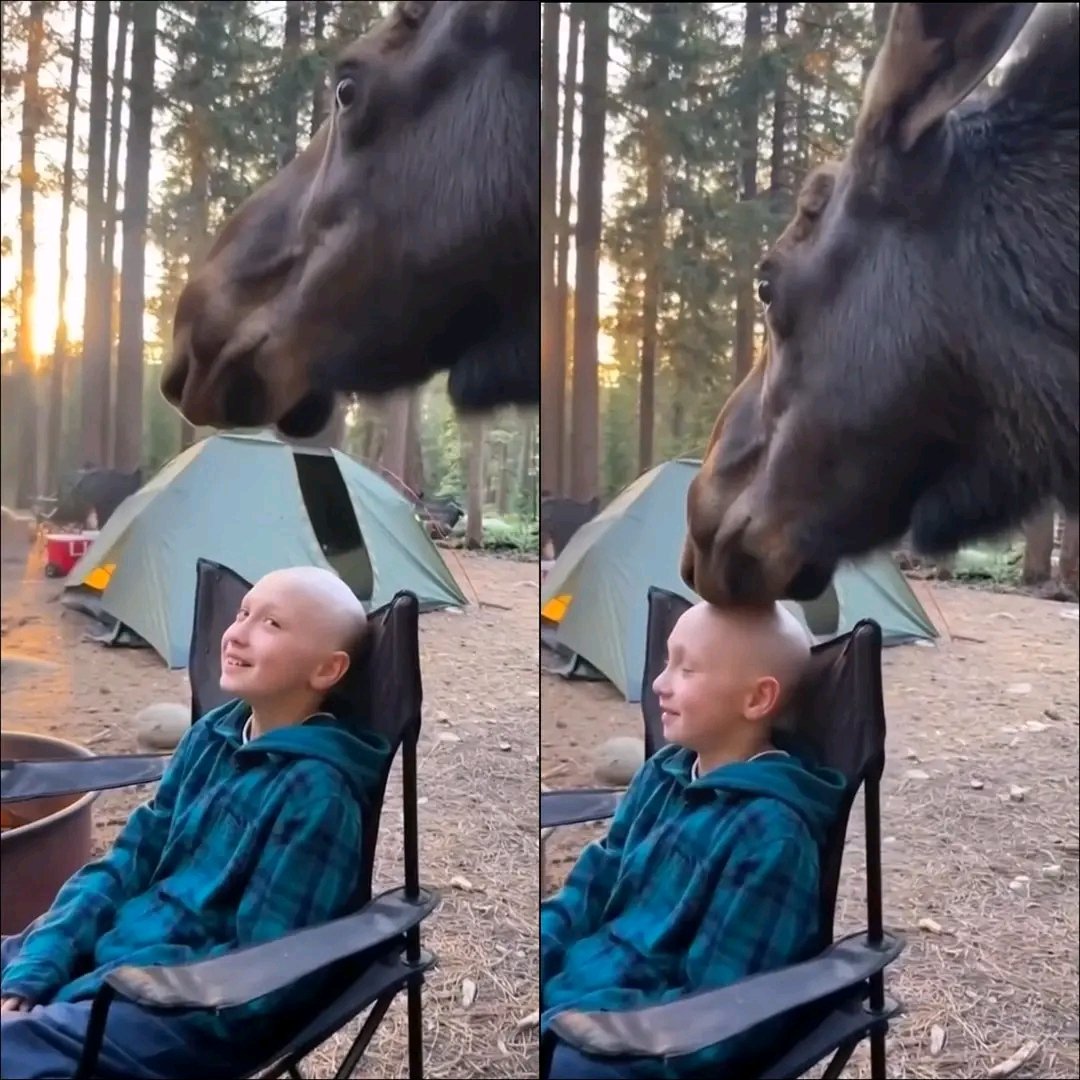 Kindness and knowledge tweet media