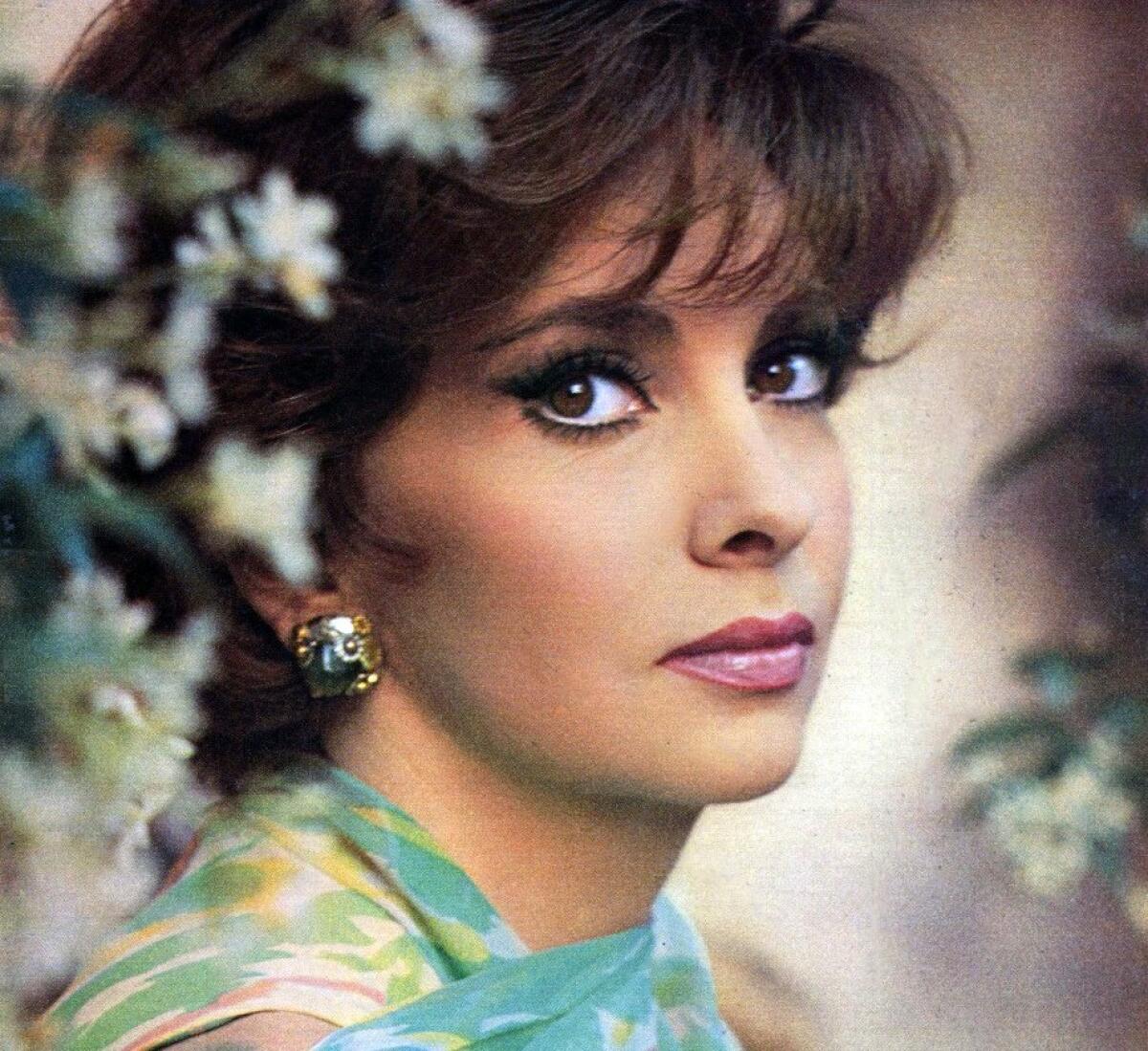 Gina Lola Brigida ™ 🎭 tweet media