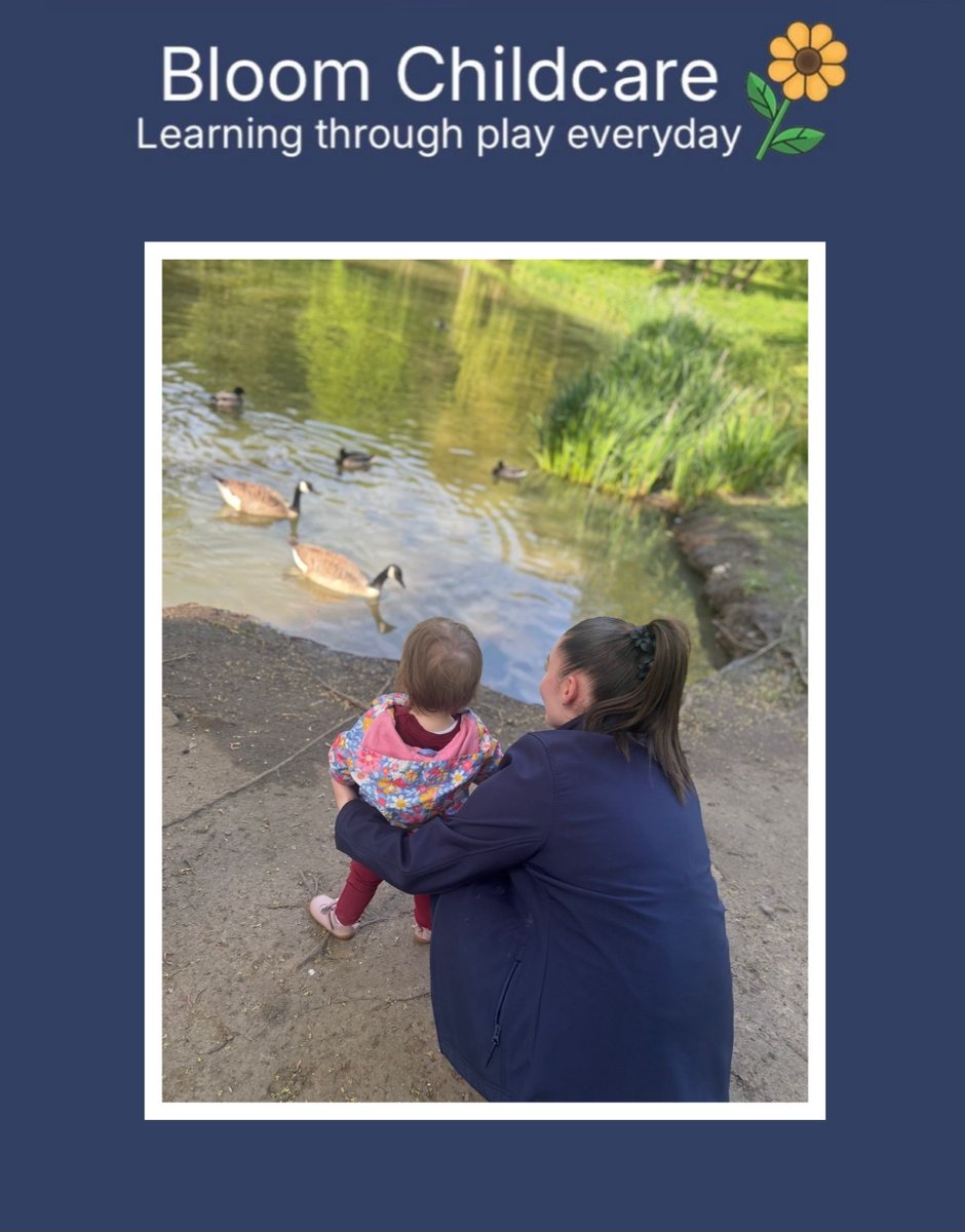 BloomCCFun's tweet photo. 🌿🌸 Our Prescot Baby Room children loved visiting the local garden centre &amp; park 🌳They explored flowers, trees and even spotted some ducks. 
#OutdoorLearning #BabyRoom #NatureExploration #LearningThroughPlay #BloomChildcare https://t.co/zfqzV1UEqY