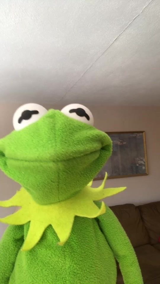 Parody | Kermit the Frog tweet media