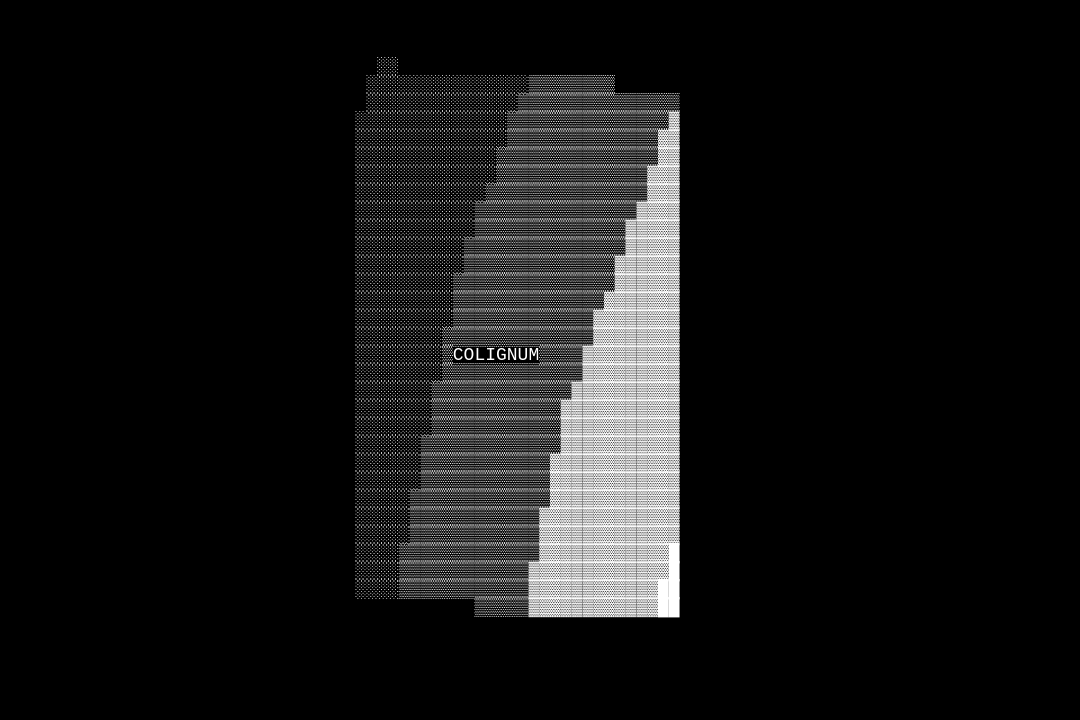 Colignum tweet media