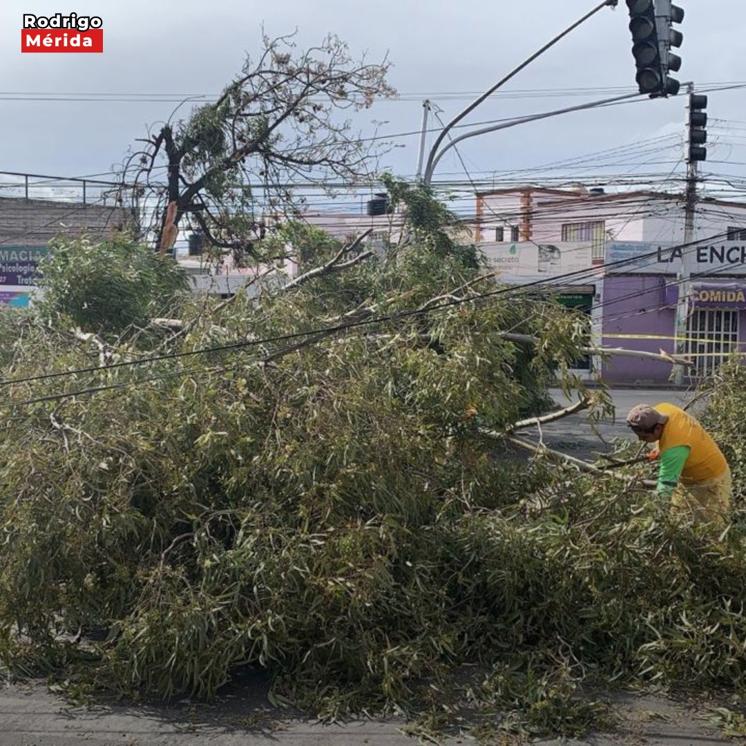 Rodrigo Mérida tweet media