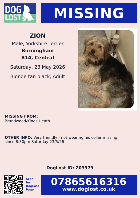 millypod1's tweet photo. 🆘23 MAY 2026 #Lost Zion #ScanMe
Yorkshire Terrier Male
#Brandwood/#KingsHeath #B14
#Birmingham #WestMidlands
https://t.co/sgkxt6Ht8N https://t.co/DJ57JbxYAL
