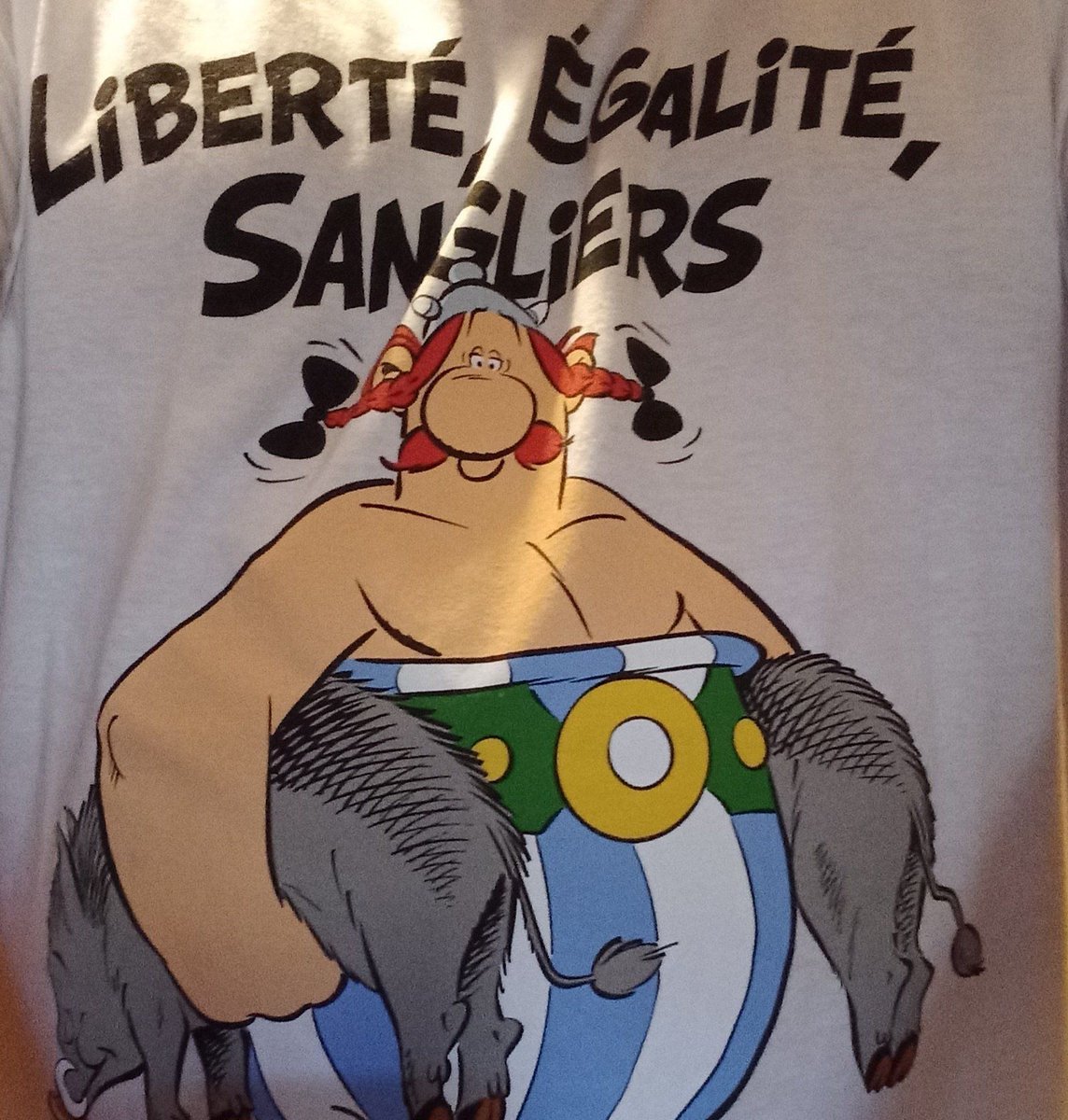 Obélix 2.0 🐗 tweet media