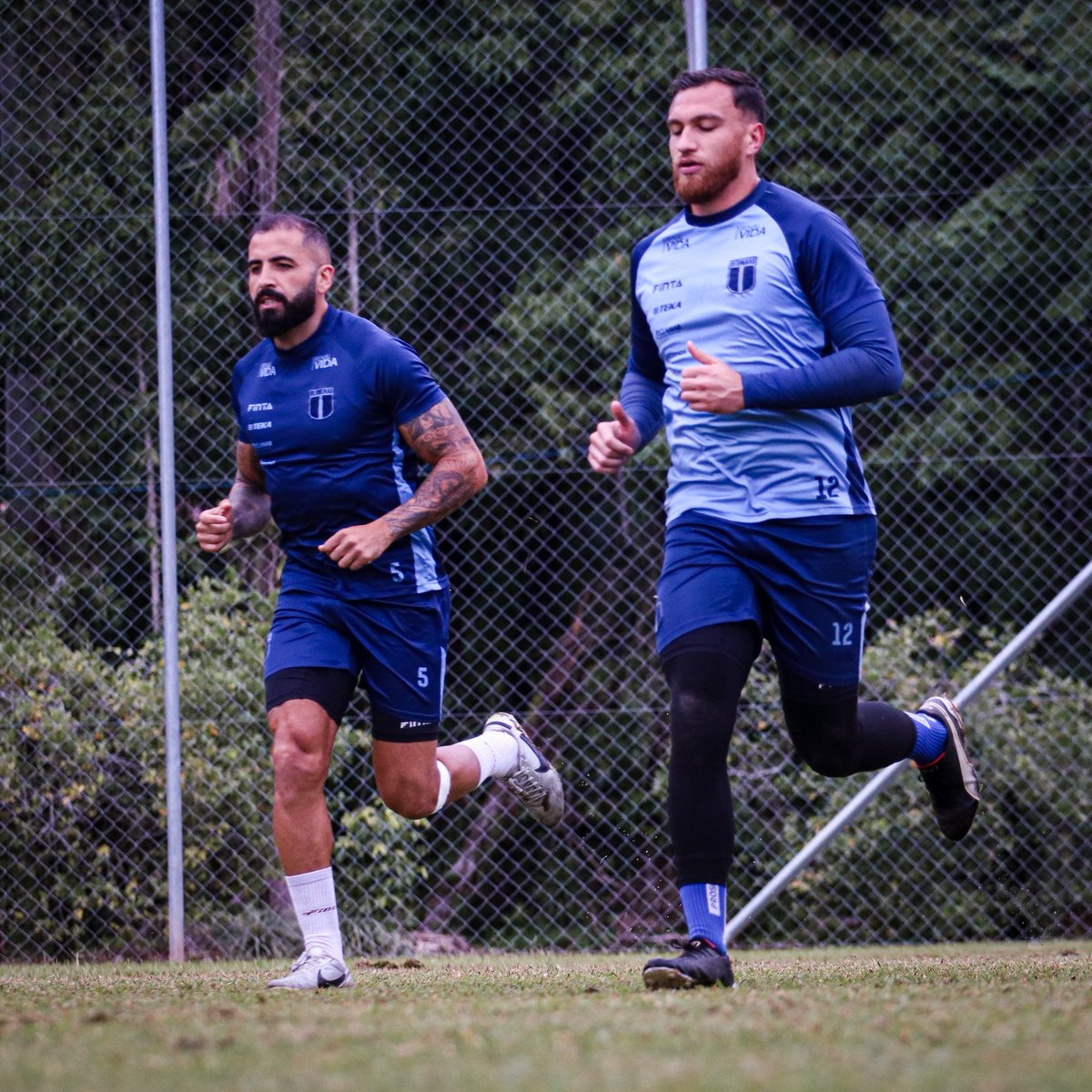 Blumenau Esporte Clube tweet media