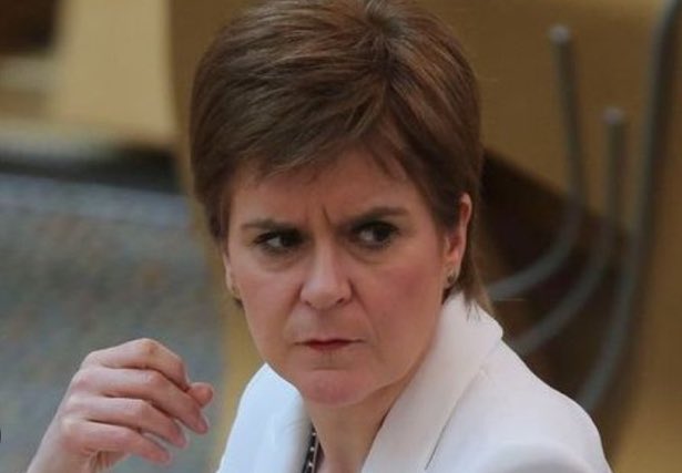 N Ecc 🏴🏴🏴 tweet media