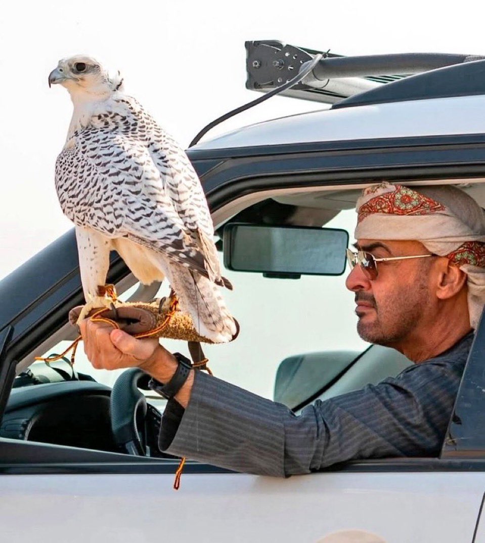 هند الظاهري🇦🇪 tweet media
