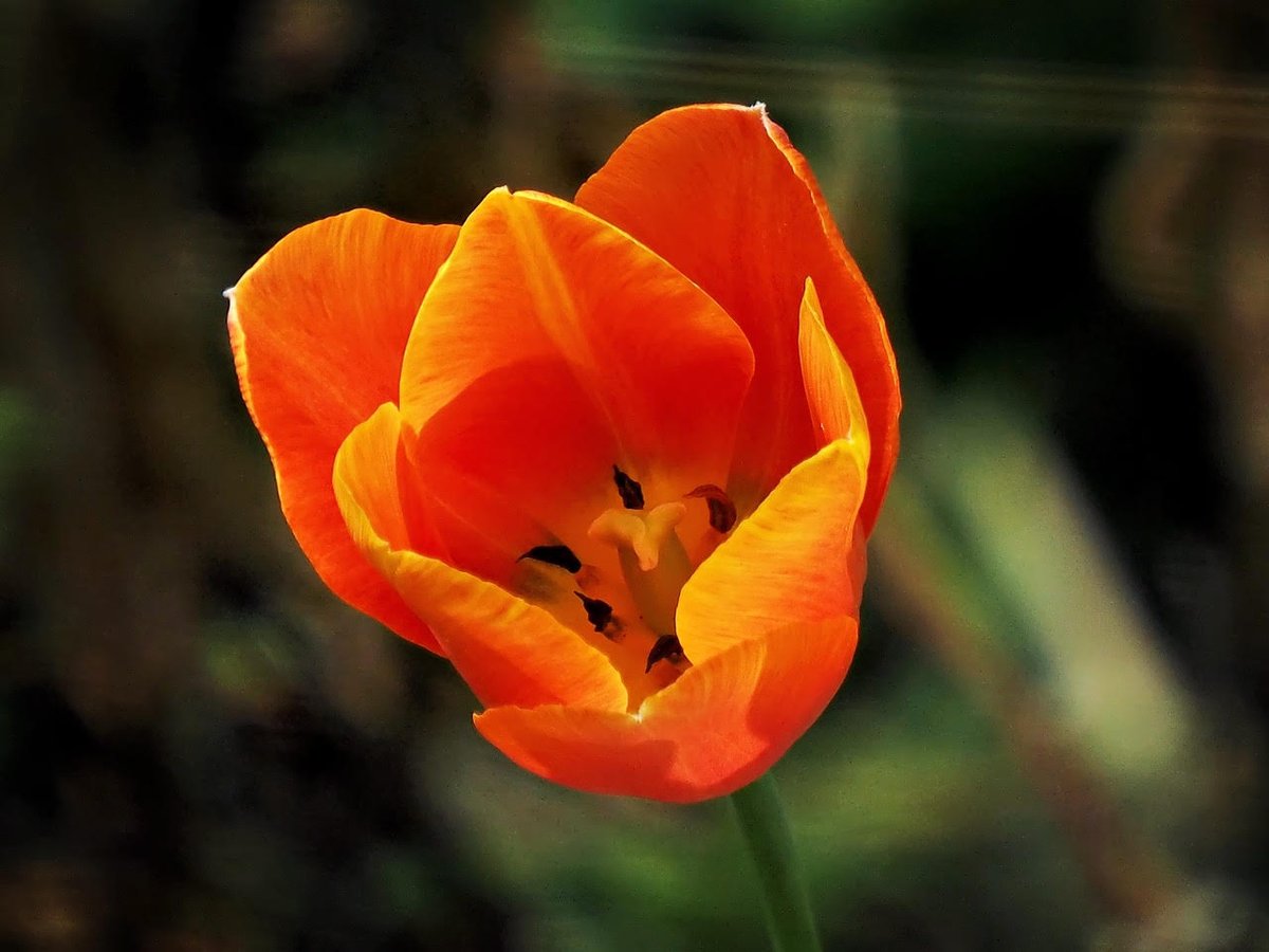 PEKHTography tweet media