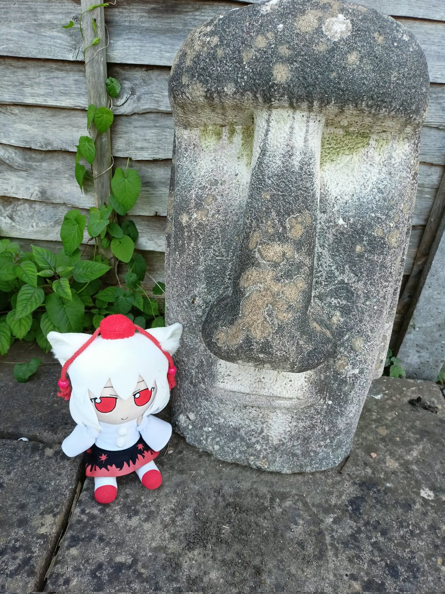 DanSkibs's tweet photo. Momiji word of the day: Moyai https://t.co/fUGBJi7AsS