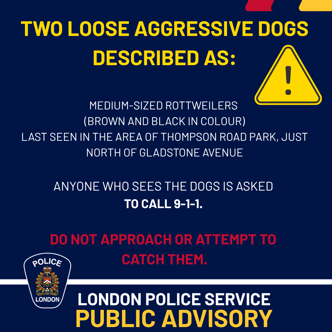 London Police Service ON tweet media