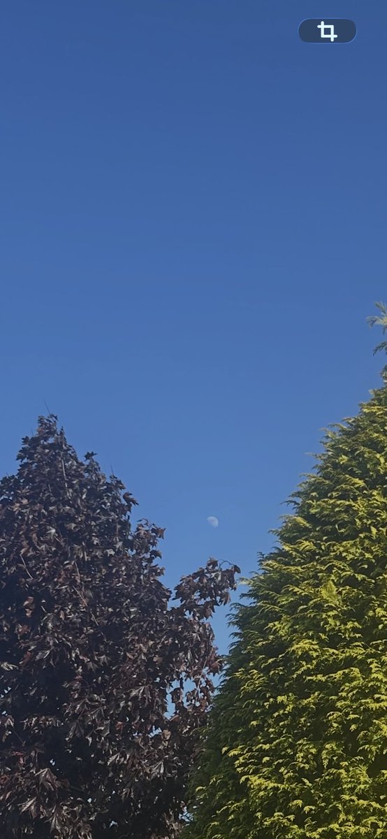 MikeBruceWHM's tweet photo. 5.50pm Moon to the left, sun to the right - a beautiful day in West Edinburgh. https://t.co/08dig6dLTA