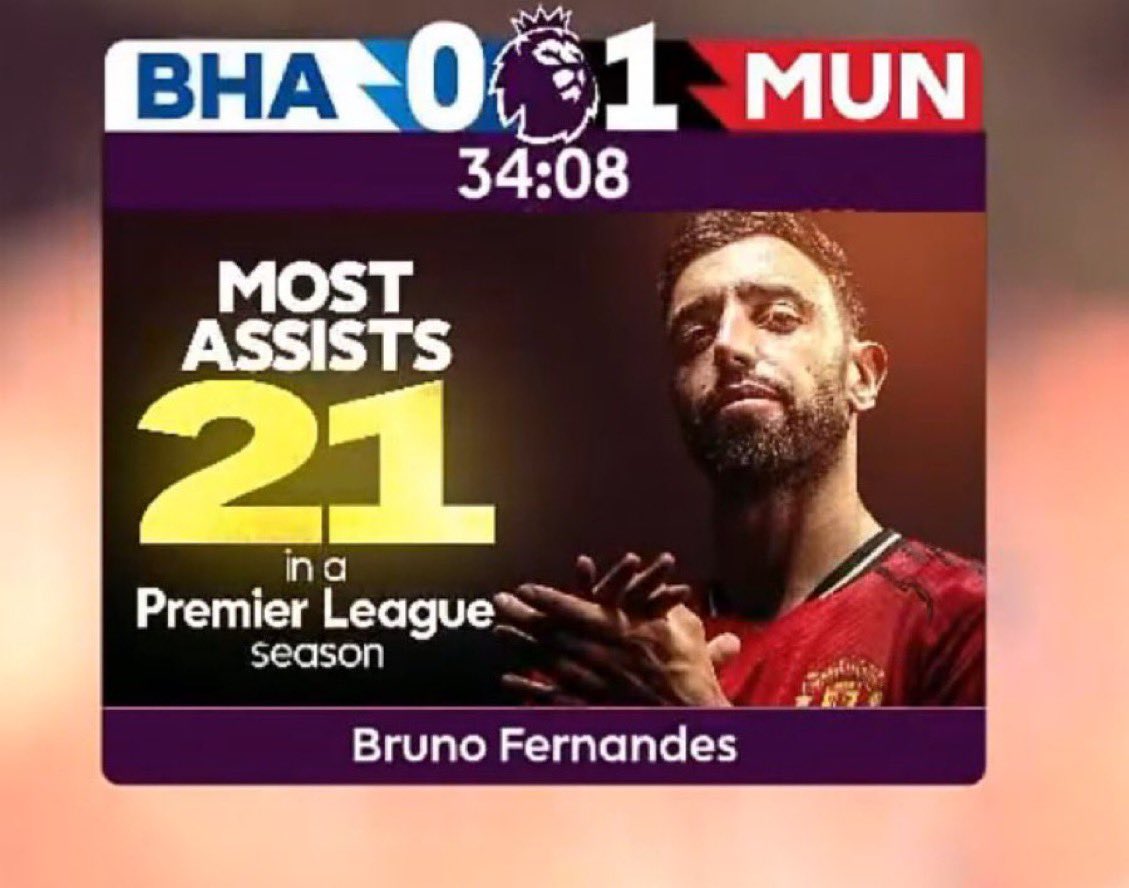 Bruno 8 tweet media