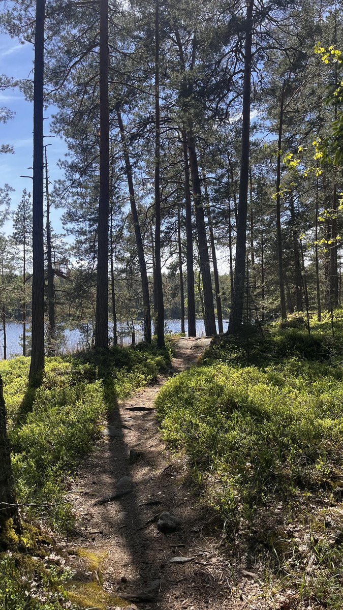 samdotb's tweet photo. Friday: grinding at @Lovable HQ
Weekend: enjoying this, 15minutes away from the city center https://t.co/y5nZgetvKc