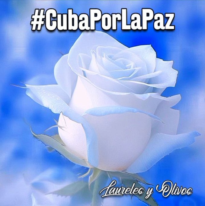 finanzasprecios's tweet photo. Hay algo que va más allá de la política o las opiniones: el amor por la tierra donde naciste. Por los que hablan como tú, ríen y lloran contigo. Eso no se negocia. 🇨🇺 #CubaPorLaPaz 
#LaPatriaSeDefiende 
#FinanzasyPrecios https://t.co/SBnYzVkWaM