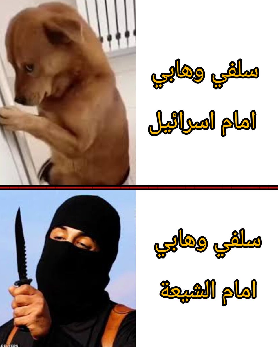 يوسف محمد ³¹³ tweet media