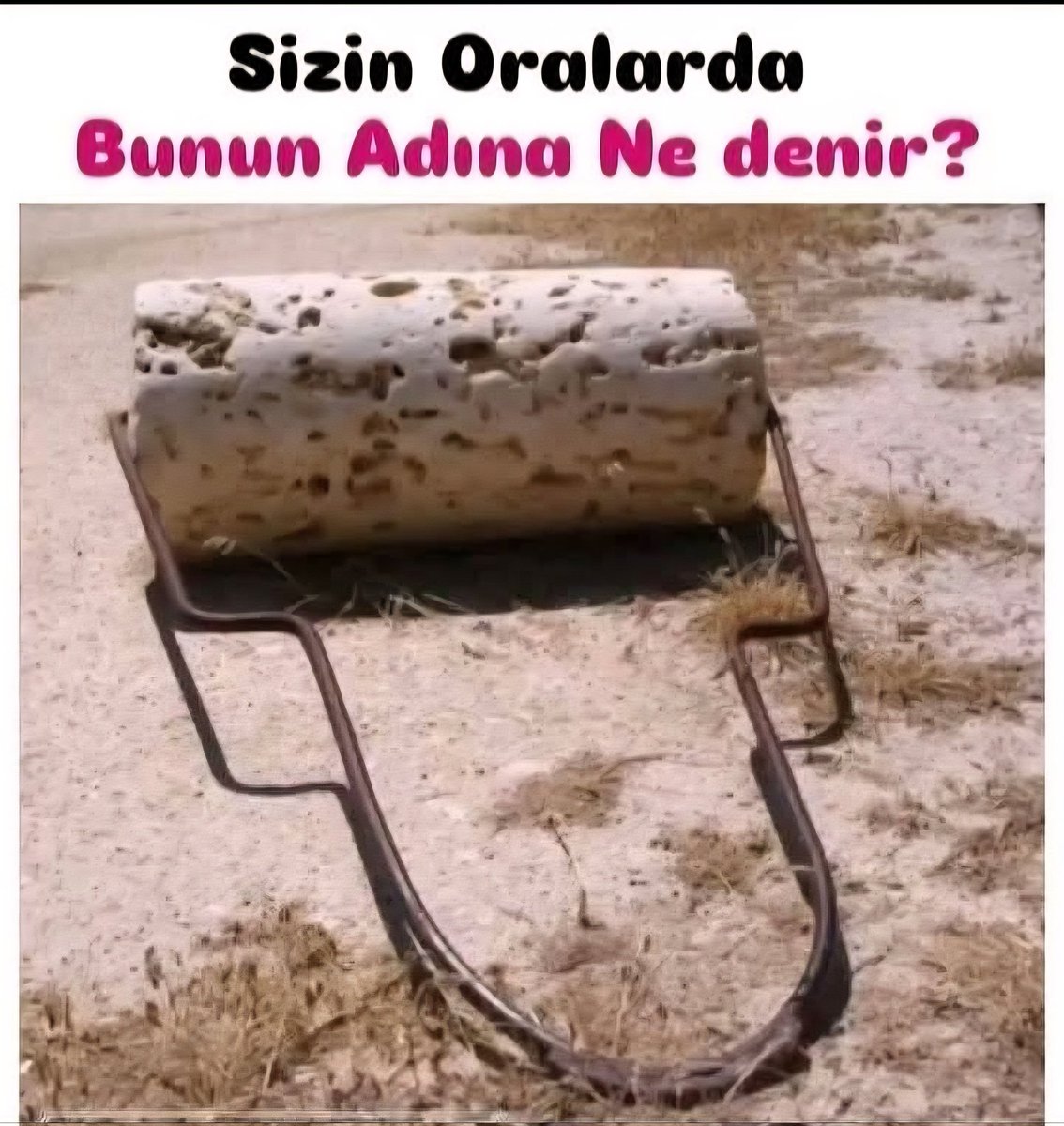 FİLİZ'İ YEŞİL 🌿 tweet media