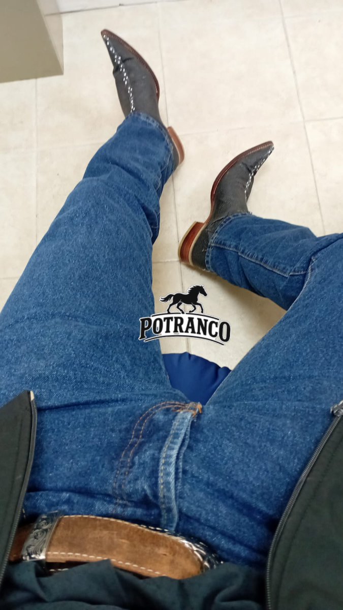 RancheroBotudo tweet media