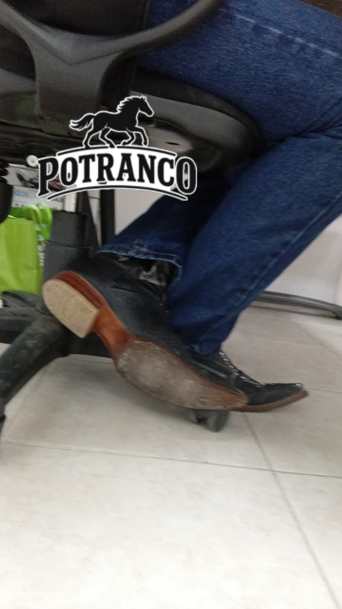 RancheroBotudo tweet media