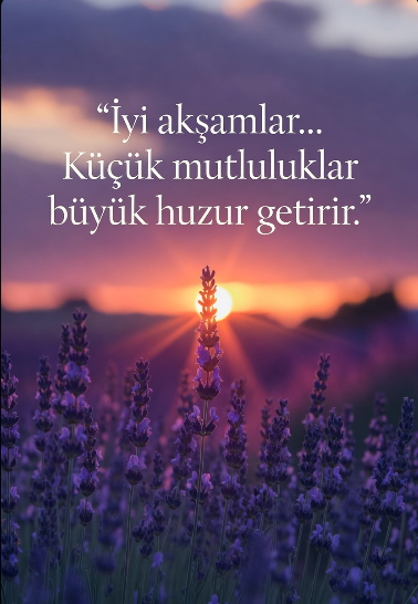 🇹🇷Takas ve Tarama🇹🇷 tweet media