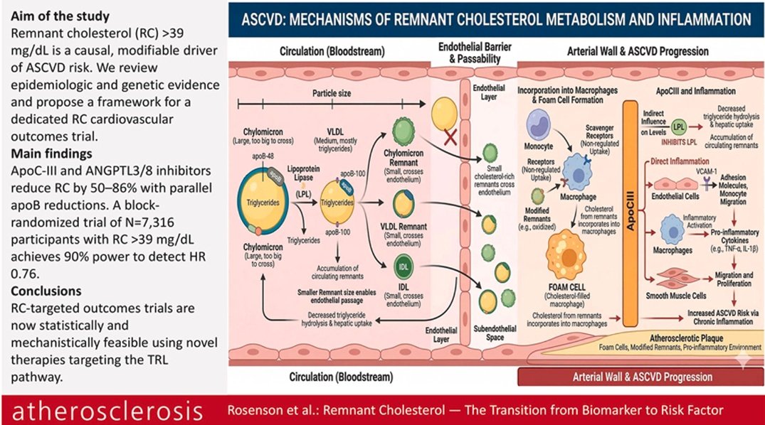 LipidoSEEN tweet media