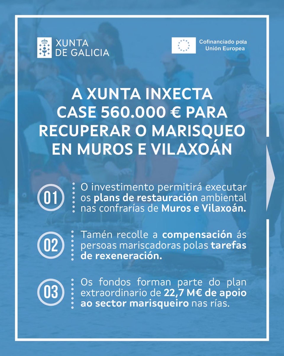 MarXunta's tweet photo. 🔵 Luz verde aos plans de restauración marisqueira en Muros e Vilaxoán

👉🏻 Un impulso crucial para garantir o futuro dun sector estratéxico para Galicia https://t.co/46UbOLB6Yb
