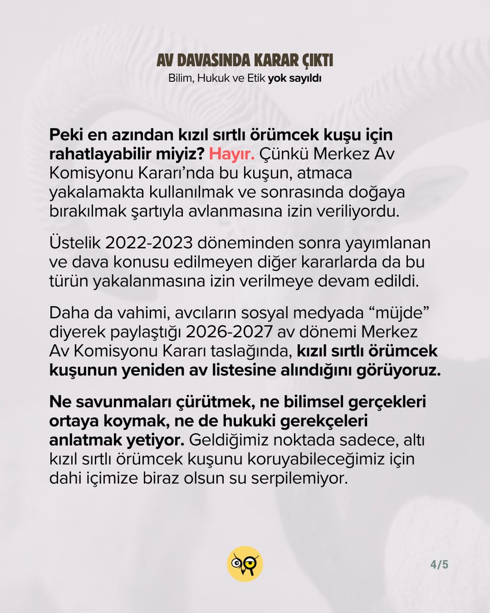 hakim_komite's tweet photo. Ancak bu tek tür için verilen karar da pratikte karşılık bulmadı. 2026–2027 MAK kararı taslağında kızıl sırtlı örümcek kuşu yeniden av listesinde.

Bunları unutmayın, anlatın ve sorumluluğu olan hiç kimseyi affetmeyin. https://t.co/FaVDgDsnOa