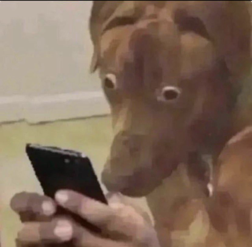 Steve_of_nv's tweet photo. Just found out one of my friends had twitter and I’ve been looking like the for the past half hour https://t.co/jhcjxEby0L