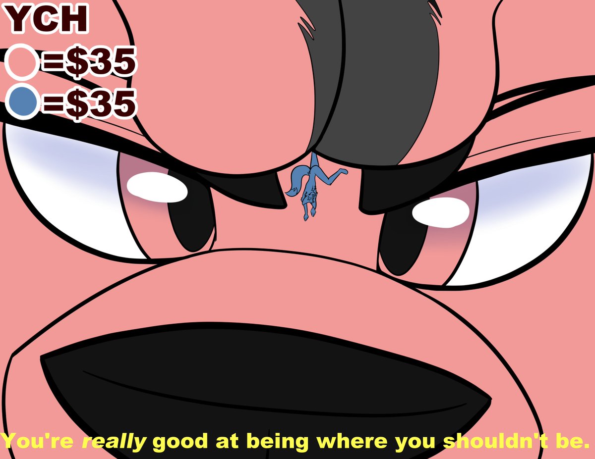 Local Fop Boy tweet media