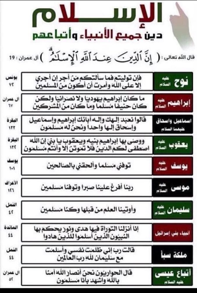 Ayat Ali .. tweet media