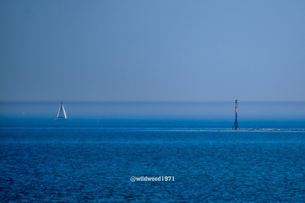 Wildwood1971 (Wild and Woody Photography) tweet media