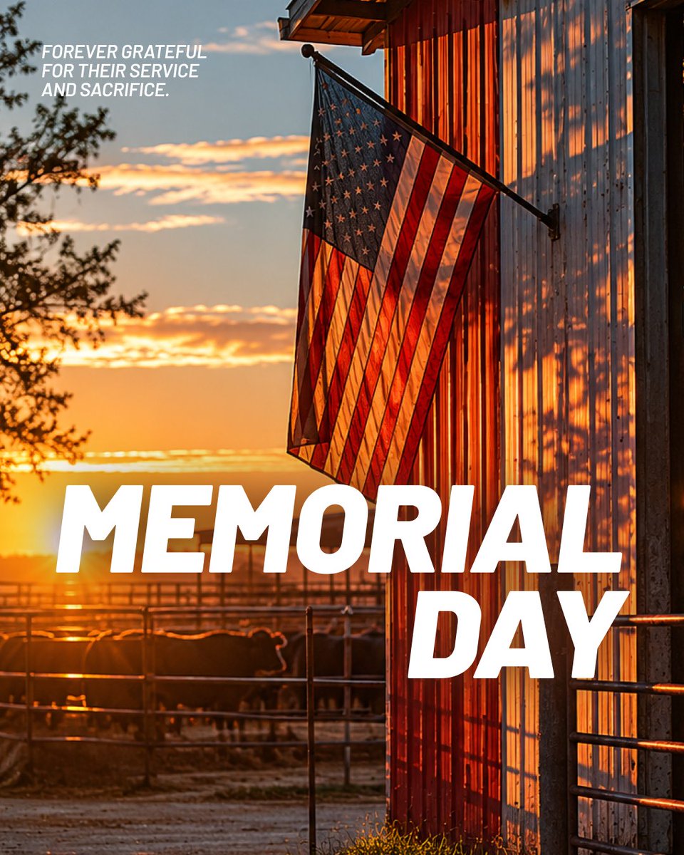 Cattler2's tweet photo. Thank you to all who served and sacrificed for this country. We're grateful. https://t.co/bcnf9GZGmm