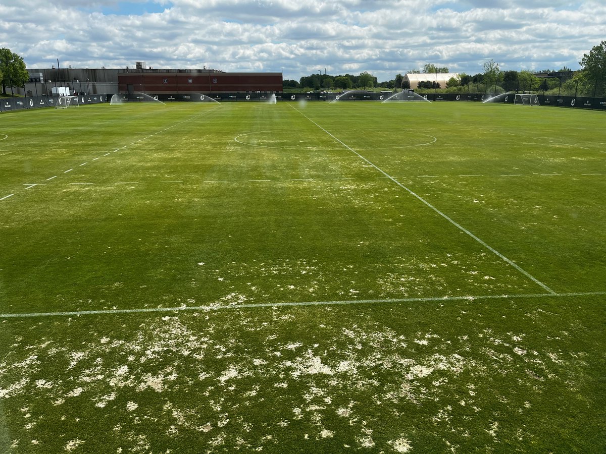 PBJTurf's tweet photo. Winterkill that needs to recover. https://t.co/JM3GZnopJN